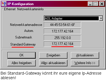 IP-Konfiguration-Popup